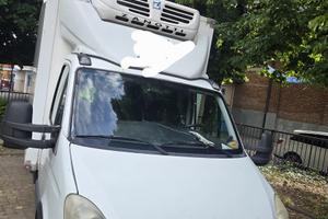 Furgone frigo iveco