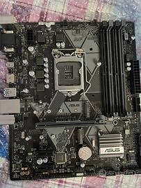 Asus Prime B360M-A Socket 1151 x intel 8/9th gen