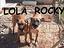 Immagine 5