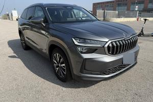 Škoda kodiaq 2ª serie 12/2024