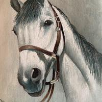 Quadro con testa di cavallo