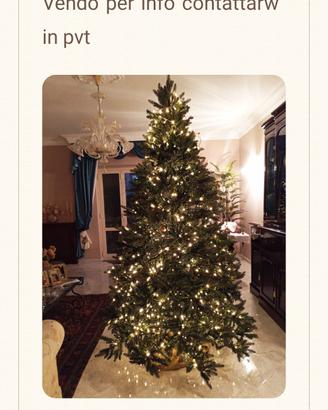 albero Andrea Bizzotto