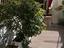 Immagine 12