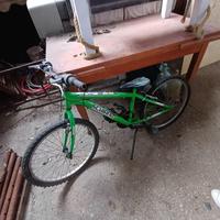 Bicicletta schiano 26