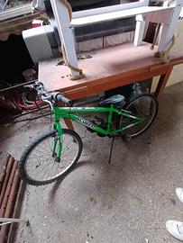 Bicicletta schiano 26