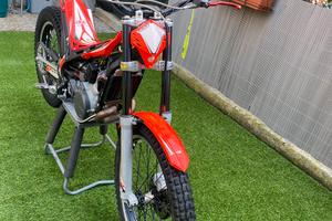 BETA EVO 300