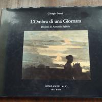 L'OMBRA DI UNA GIORNATA - DIPINTI DI SALIOLA