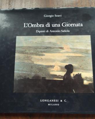 L'OMBRA DI UNA GIORNATA - DIPINTI DI SALIOLA