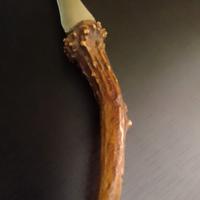 taglieto. collezione