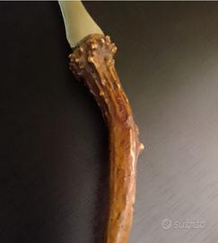 taglieto. collezione