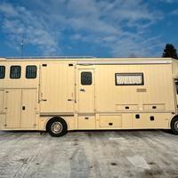 Van trasporto 5 cavalli Iveco Eurocargo STX
