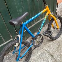 Bicicletta Mountain Bike Top Gun