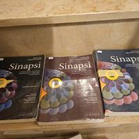 testi scolastici liceo scientifico sportivo     