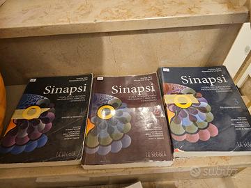 testi scolastici liceo scientifico sportivo     