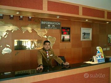 I need a job , I have catagorie protetta 68/99