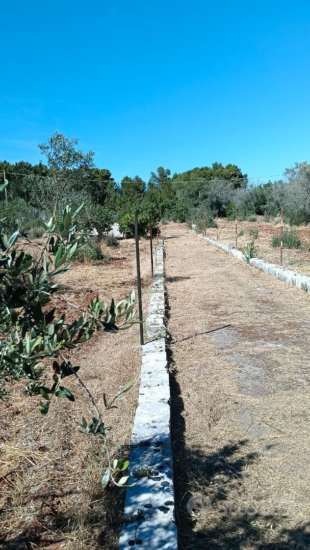 Terreno agricolo - Vista 2
