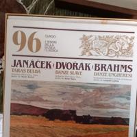 Collezione dischi in vinile