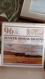 Collezione dischi in vinile