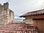 Immagine 10