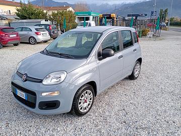 Panda 1.2 Easy  8.000 € non trattabile 
