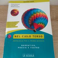 Nel cielo terso. narrativa poesia e teatro