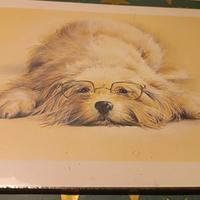 Quadretto decorativo con cane con occhiali beige