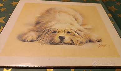 Quadretto decorativo con cane con occhiali beige