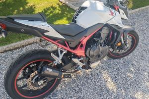Hornet 750 2024