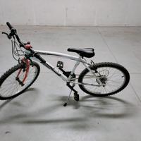 Bicicletta ragazzo 24'
