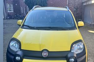 Fiat panda cross