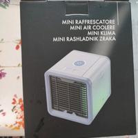 Mini Raffrescatore 