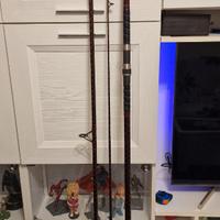 canna surfcasting-  daiwa