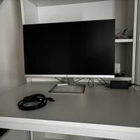 Display Hp 24 pollici