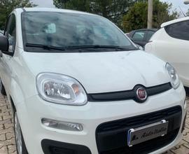 FIAT PANDA 1.0 FireFly 70CV S&S HYBRID 2022