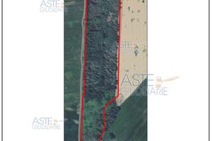 Terreno Agricolo Grosseto [A4347900]