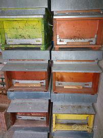 Arnie e materiale apistico