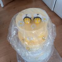 TORTA FINTA TEMA API