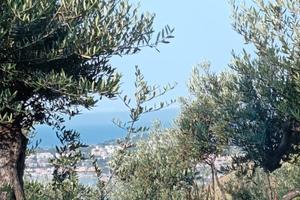 da costruire