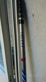 Canna da pesca Teleregolabile 8.5 mt a 100€