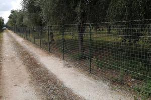 Terreno agricolo villa literno