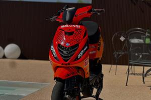 Zip mk2 2011