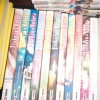 MANGA TSUBASA E HOTARU  serie completa