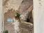 Immagine 14