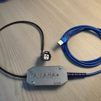 Diagnosi motori fuoribordo Yamaha Selva Mercury