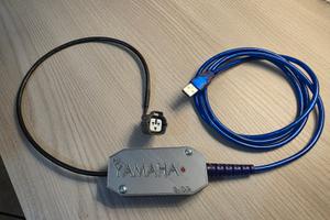 Diagnosi motori fuoribordo Yamaha Selva Mercury