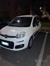 panda 