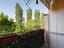 Immagine 19