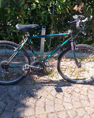 Biccicletta