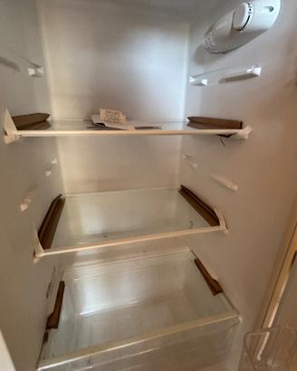 Frigo iberna