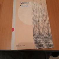 Libro Anima Mundi di Susanna Tamaro 1997